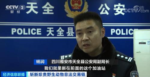 ？触目惊心！非法贩卖变“合法”？国家一级保护动物遭层层转卖，价格翻40倍！背后牵出黑色产业链...