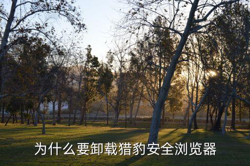 猎豹安全浏览器怎么卸，猎豹安全浏览器完美卸载方法
