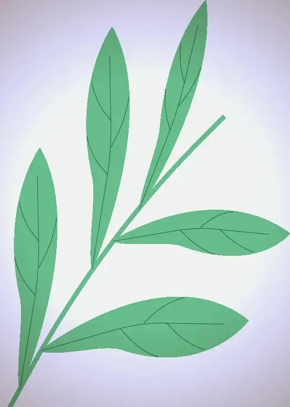 幼儿园卫生新闻稿件_幼儿园开学前卫生大扫除_新慧层幼儿园全方位清洁行动