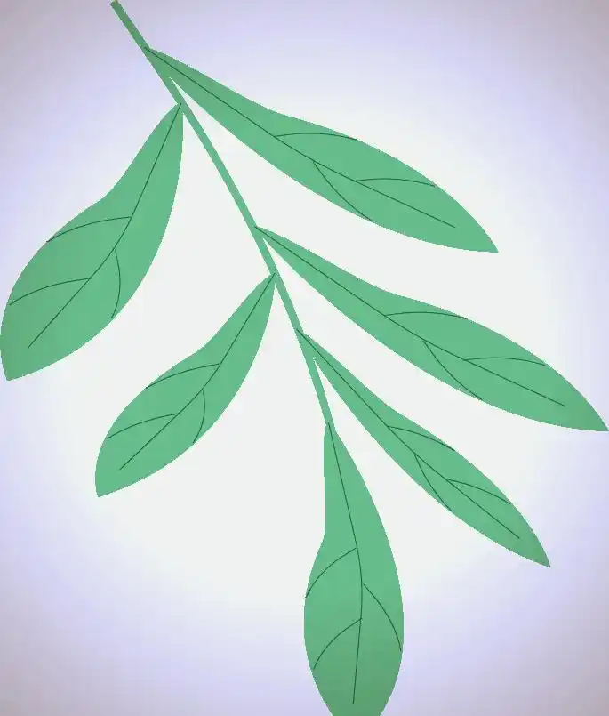 幼儿园开学前卫生大扫除_幼儿园卫生新闻稿件_新慧层幼儿园全方位清洁行动