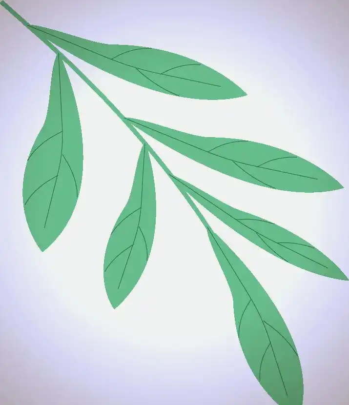 新慧层幼儿园全方位清洁行动_幼儿园卫生新闻稿件_幼儿园开学前卫生大扫除