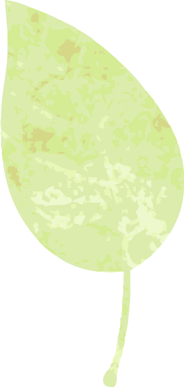 幼儿园卫生新闻稿件_幼儿园环境消杀准备_北仓幼儿园卫生保健