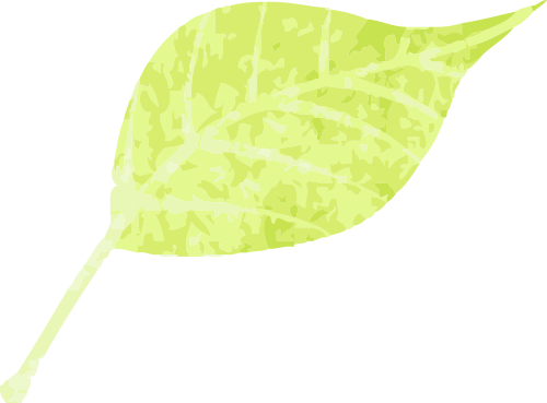 幼儿园卫生新闻稿件_北仓幼儿园卫生保健_幼儿园环境消杀准备