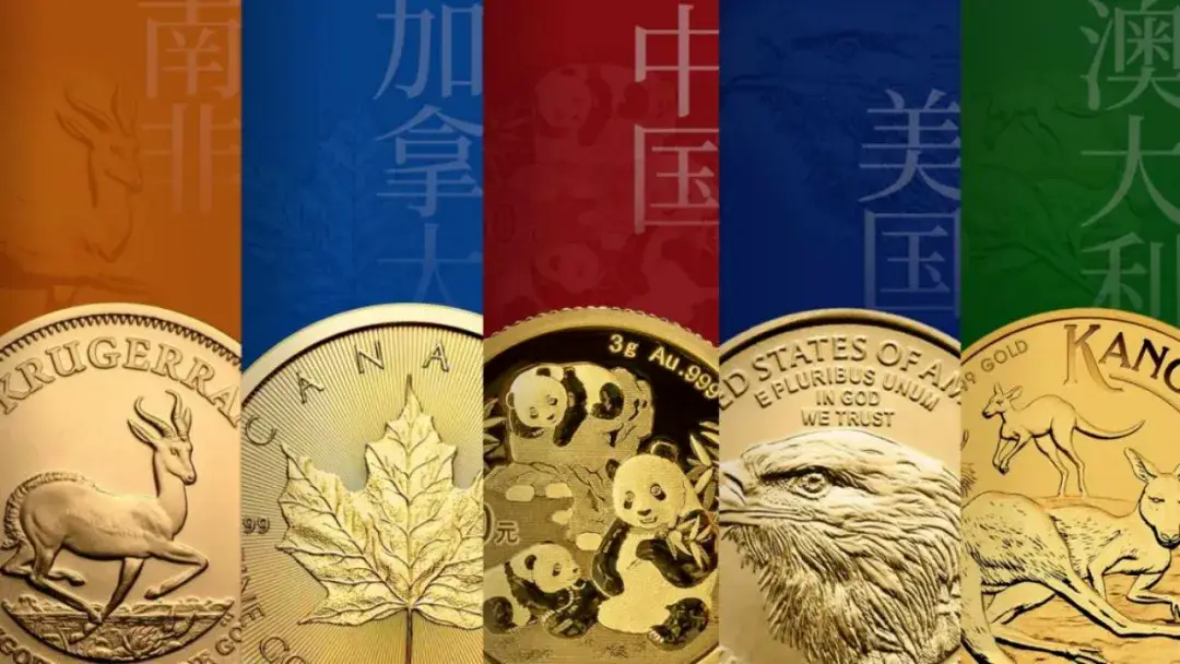 熊猫币设计图稿两只熊猫_2026版熊猫纪念币发行公告_2026马年纪念币来了