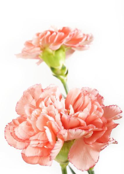 她到底喜不喜欢我看出来_有没有爱奇艺会员账号共享_时间灯秒回消息判斷喜不喜我