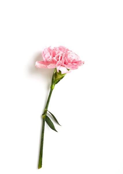 有没有爱奇艺会员账号共享_时间灯秒回消息判斷喜不喜我_她到底喜不喜欢我看出来