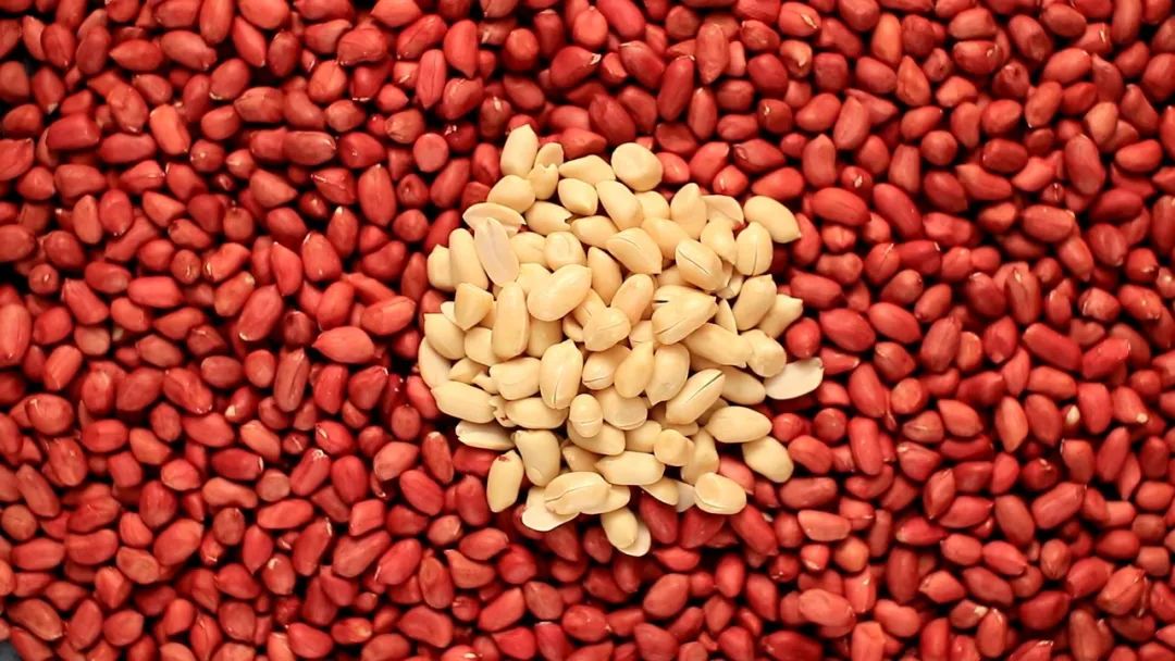 阜蒙县政府_阜蒙县返乡回乡看家乡活动_阜蒙县农业产业集群发展