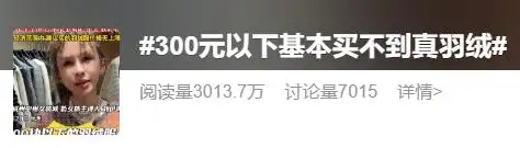 300元以下买不到真羽绒？要看这些指标……