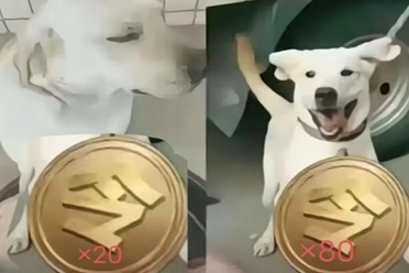 灾难级周年庆之CF玩家被背刺的一生