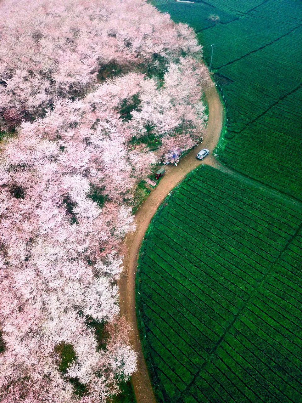 高铁沿途风景_中国最美火车路线_火车图片