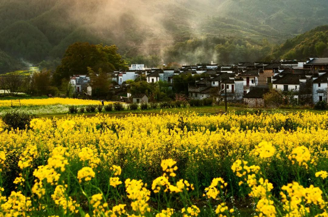 火车图片_中国最美火车路线_高铁沿途风景