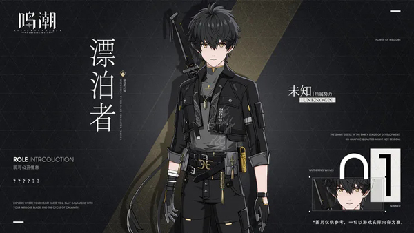 鸣潮国际服官方正版(Wuthering Waves安装器)