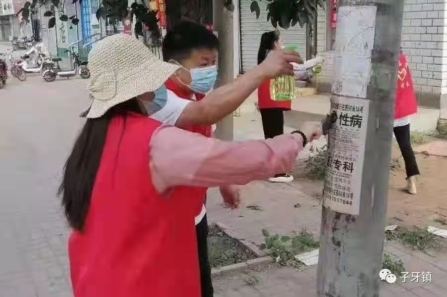子牙镇创文创卫_天津市静海区子牙景区_农村人居环境整治
