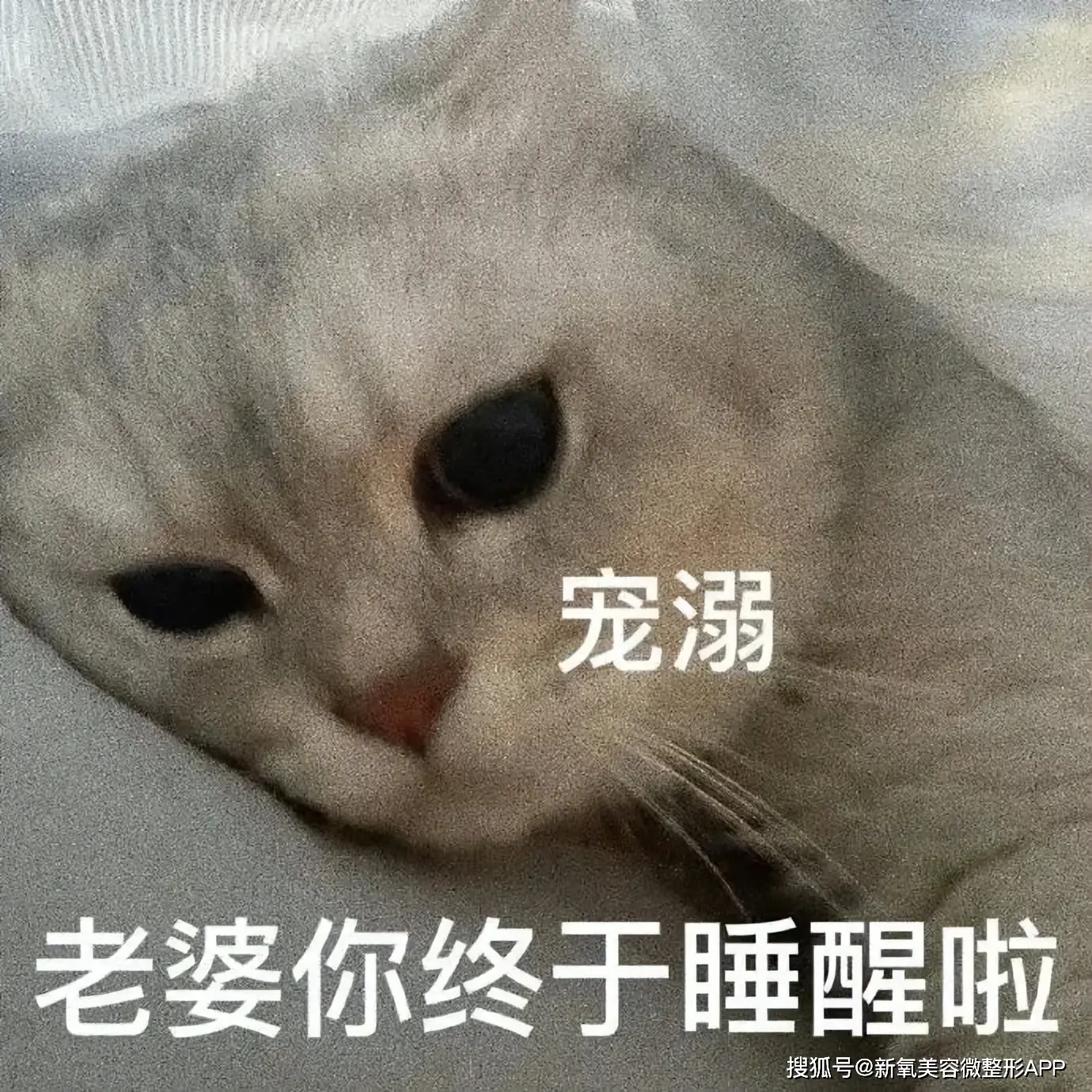 文根英近况变化_43岁孙艺珍分享极端减肥经历_文根英现状
