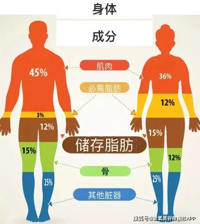 文根英现状_文根英近况变化_43岁孙艺珍分享极端减肥经历