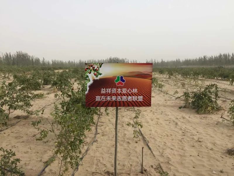 第六届中国经济大会ESG践行卓越典范奖 楼公望2023年度十大经济人物 益祥资本可持续发展投资理念_中国经济年度人物颁奖盛典