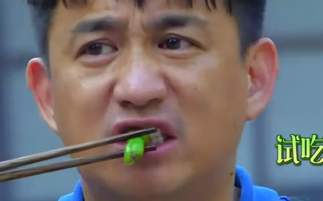 黄磊称会继续给何炅做饭_陈赫回应黄磊厨艺_黄磊做饭好不好吃