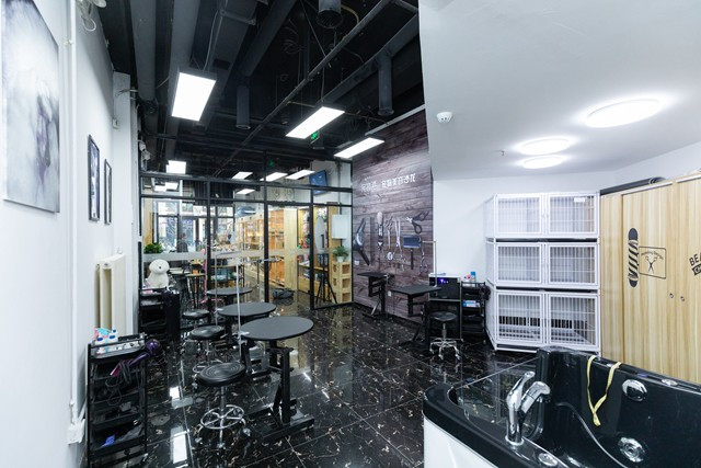 专业宠物美容设备_宠物美容工具配置_宠物店