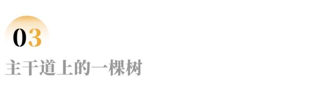 考研失利后如何调整心态_95后女生回应8年从专科到博士_从专科生到985博士