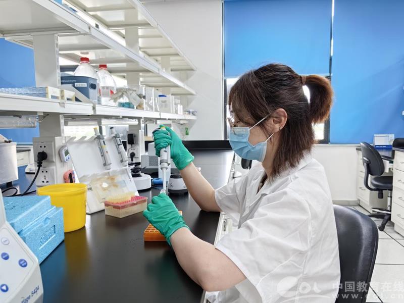 跨专业考研考博经验分享_专升本考硕考博经历_95后女生回应8年从专科到博士