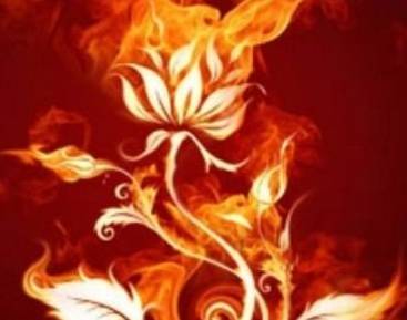 心理测试救玫瑰 桃花运指数 测爱情观念_测试桃花运指数