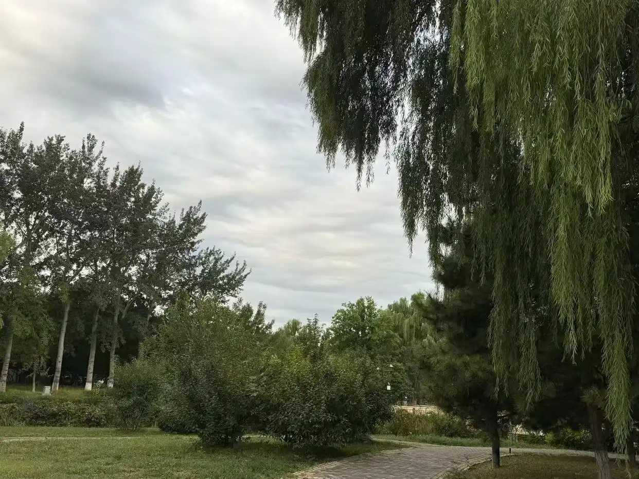 早晨轻雾阴天小雨转晴北风降温寒潮预警_未来几天气温下降夜间降至个位数防风保暖_未来3天冷冷冷冷冷