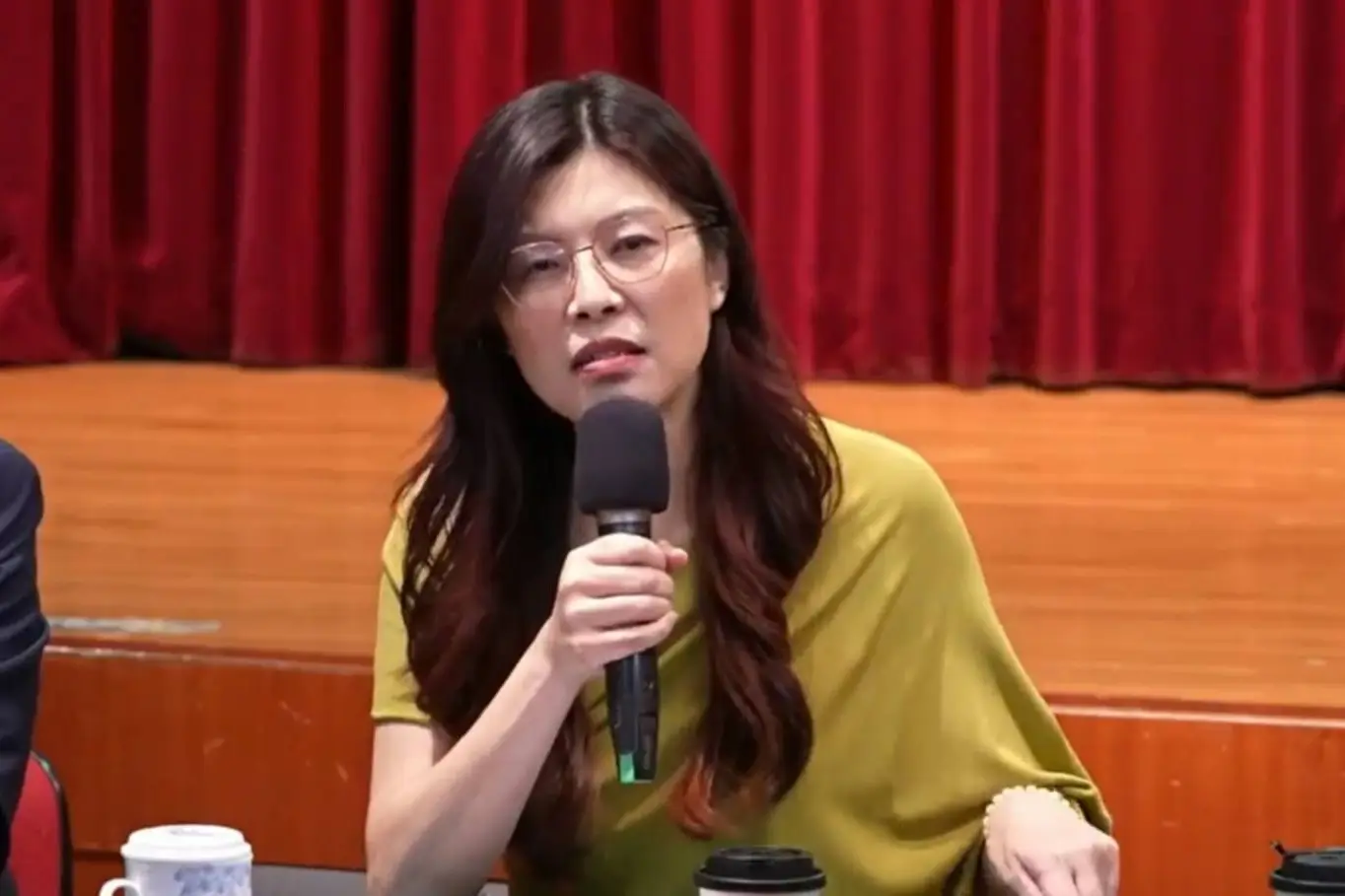 郑丽文：绝不让台湾成“麻烦制造者”_郑丽文：绝不让台湾成“麻烦制造者”_郑丽文：绝不让台湾成“麻烦制造者”