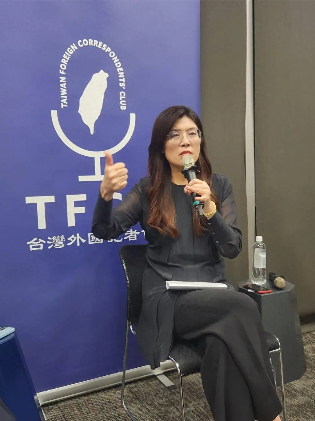 郑丽文：绝不让台湾成“麻烦制造者”_郑丽文：绝不让台湾成“麻烦制造者”_郑丽文：绝不让台湾成“麻烦制造者”