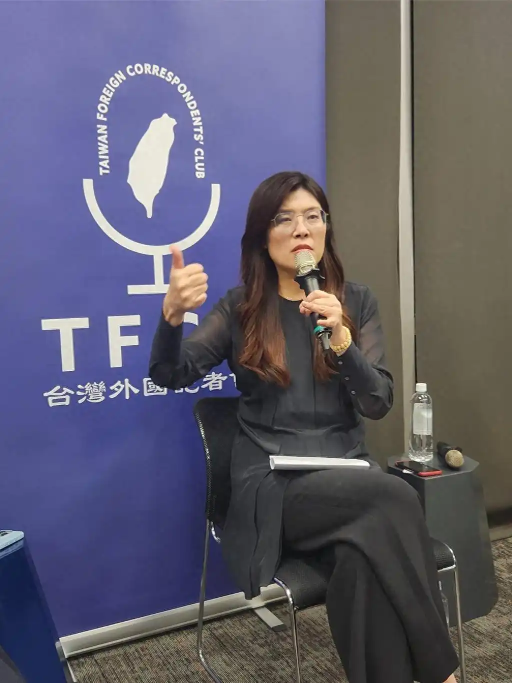 提出三大原则支持两岸和平，郑丽文：不支持台湾防务支出达GDP5%