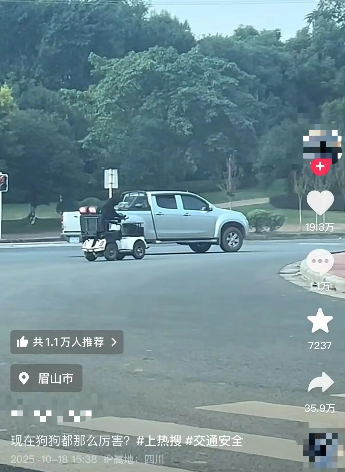 眉山一网红狗开车上路引热议，狗主人称“有争议我面对”，交警：不允许狗开车上路