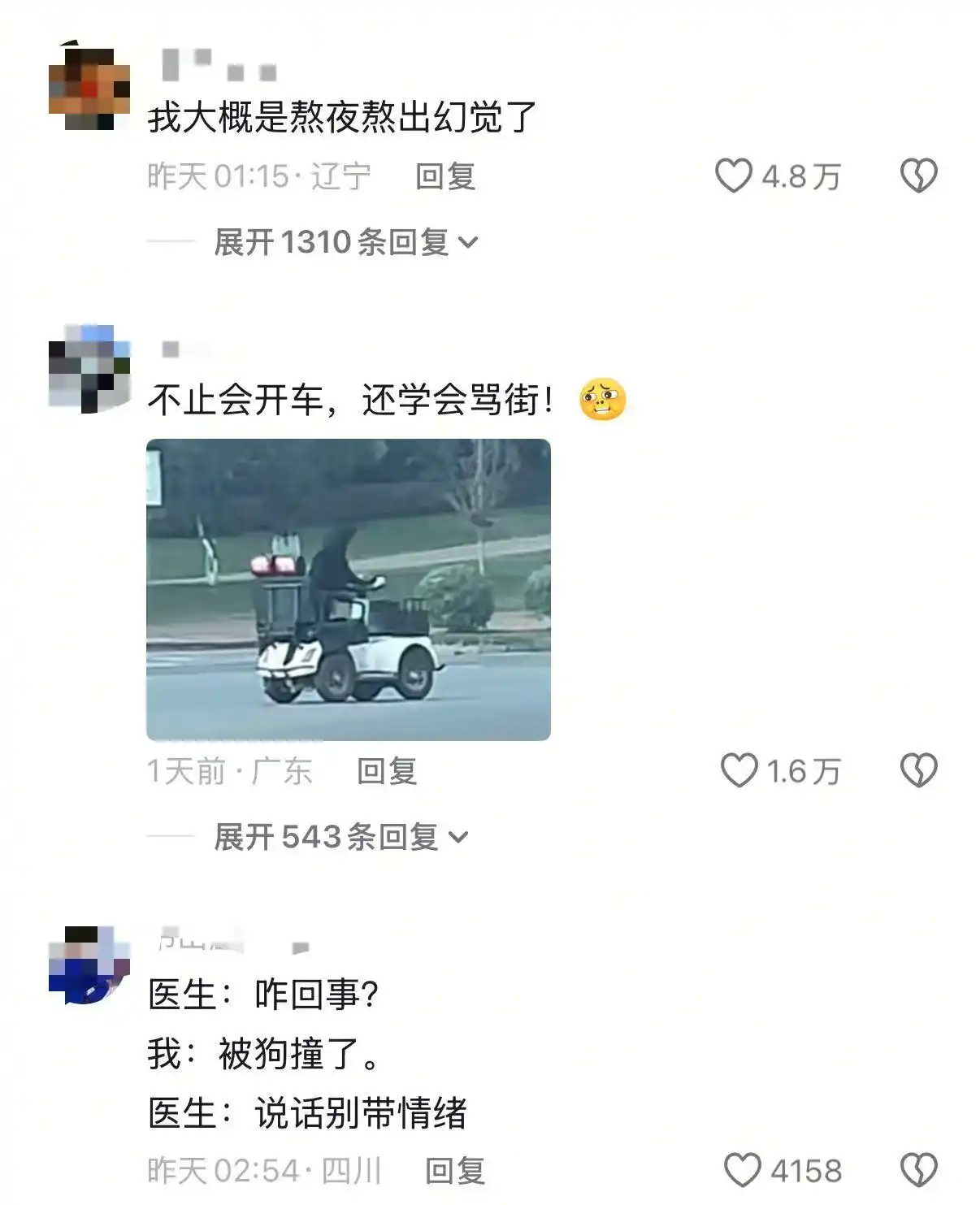 拉布拉多开车上路？当地交管局回应_狗驾驶老年代步车_眉山网红狗开车上路