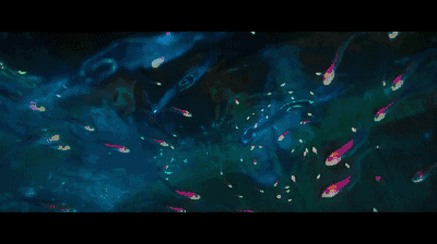 阿凡达2水之道首日票房破亿_阿凡达2卡梅隆导演口碑评价_阿凡达2游戏下载