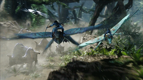 聆雨子：《阿凡达2》终究是一部美式西部片