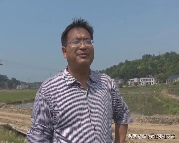 湖南都市晚间报道养鹅_湘农荟农产品推广_湖南一村一品农产品销售平台