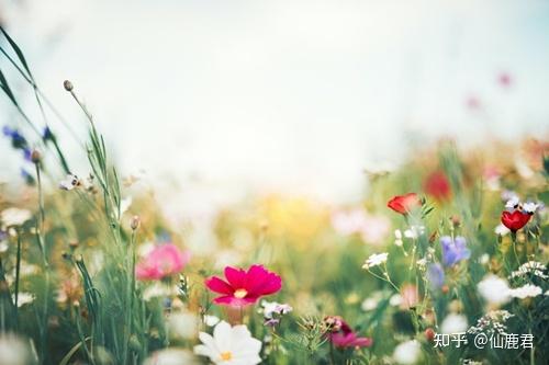 尼康金广角镜头_尼康镜头推荐_尼康镜头选购攻略