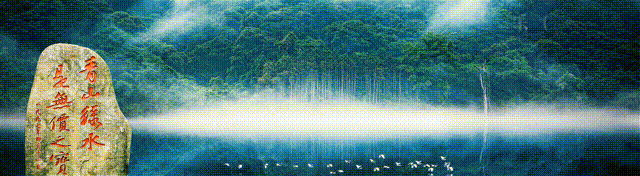 植物科普（三十六）| 龙爪槐、香花槐