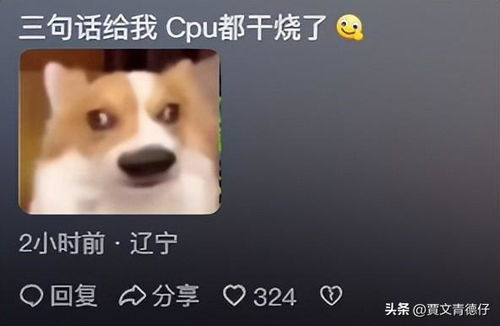 脱缰短剧，免费观看，精彩无限