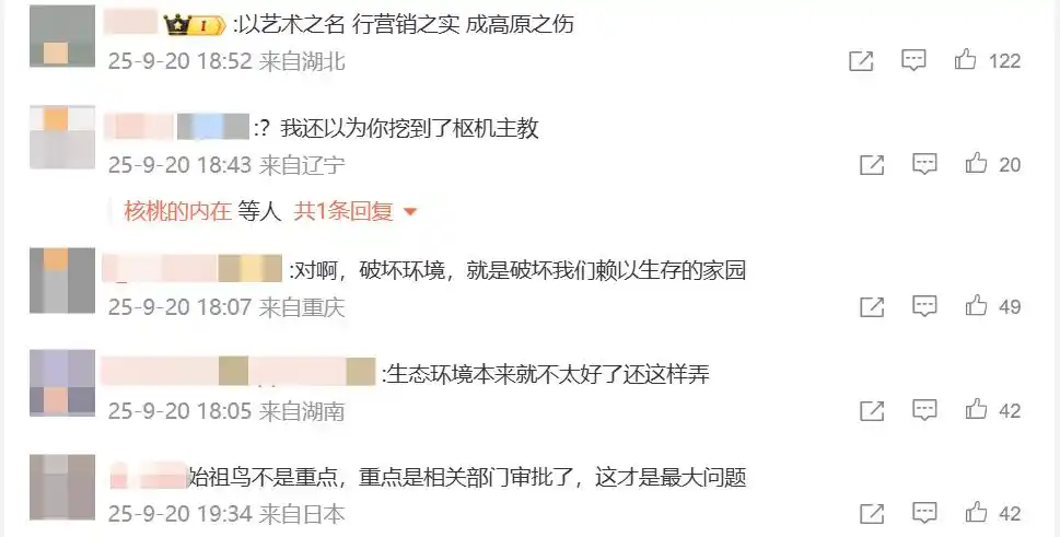 始祖鸟高原烟花秀_始祖鸟环保争议_始祖鸟烟花秀被质疑抄袭