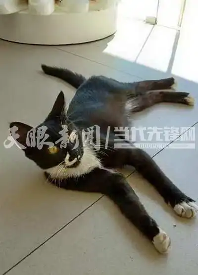 丹寨兴泉路_丹寨县兴泉西路垃圾中转站与居民楼距离过近_垃圾中转站臭味扰民丹寨县
