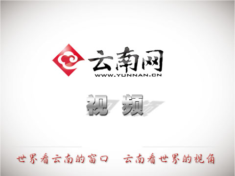 “零近视”小学来了个“小眼镜”
