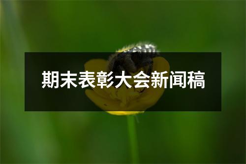 期末表彰大会新闻稿