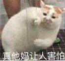 cs1.6地图_cs_assault 仓库地图 白房地图