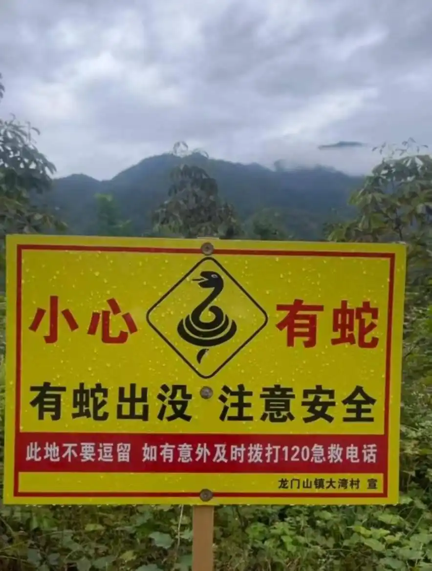 驴友登山发现大量“蛇出没”“禁止放蛇”告示牌 当地社区回应：主要提醒注意安全