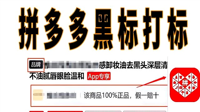 拼多多百亿补贴_拼多多黑标店_拼多多全网最低自助下单平台