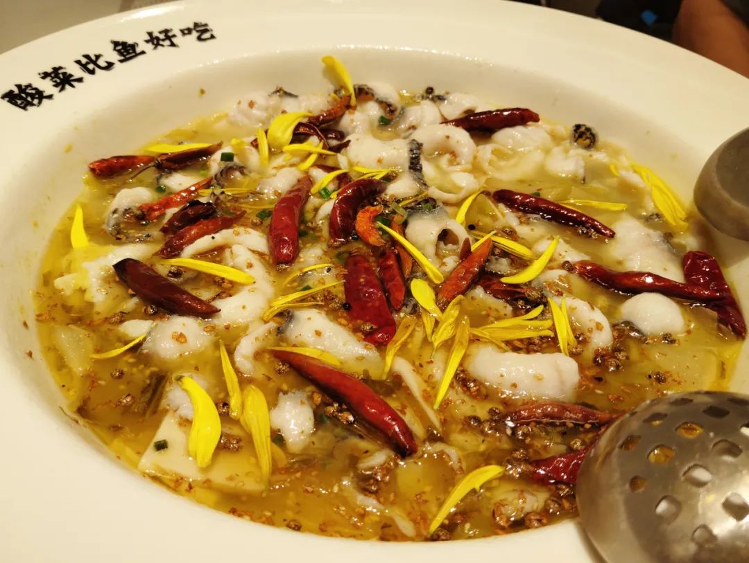 太二酸菜鱼不用排队_太二酸菜鱼价格调整_山姆上架太二酸菜鱼预制菜
