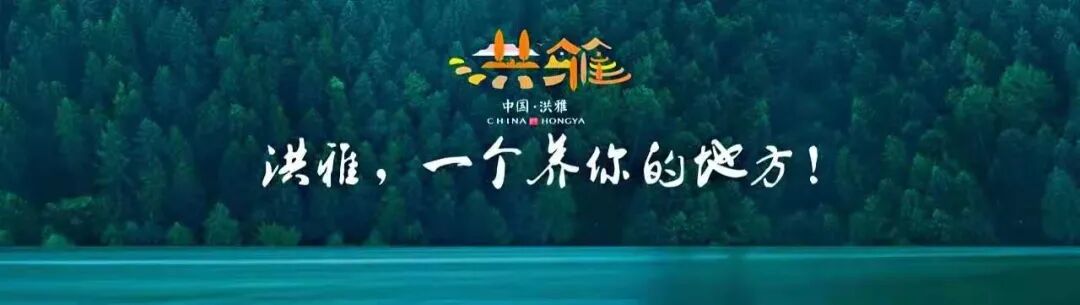 瓦屋山熊猫森呼吸营地_露营四川玉屏山_洪雅野鸡坪露营