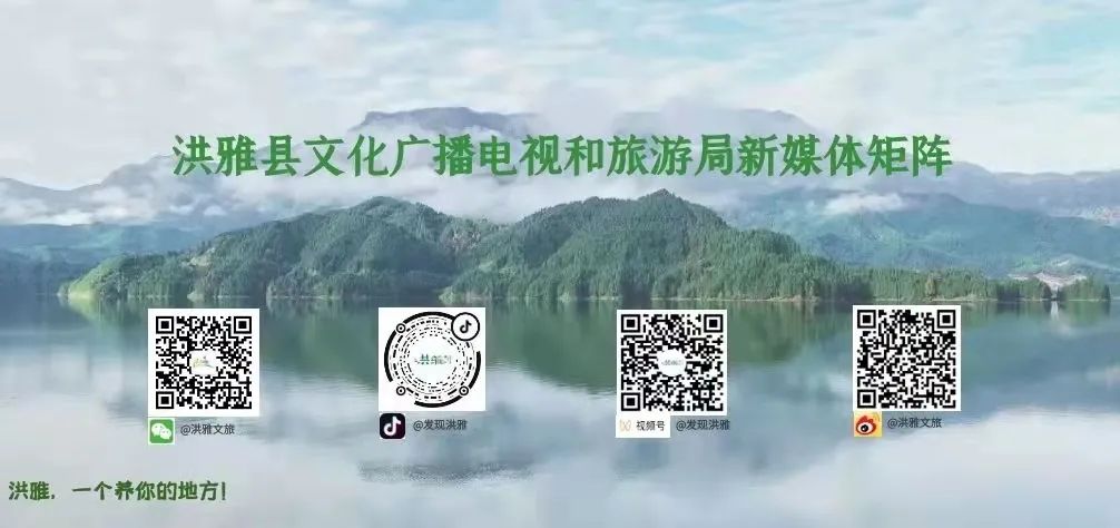 露营四川玉屏山_洪雅野鸡坪露营_瓦屋山熊猫森呼吸营地