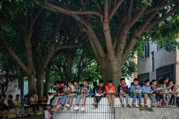 三所“零近视”小学带来的启示_云南湾塘小学无近视学生_湾塘小学零近视率