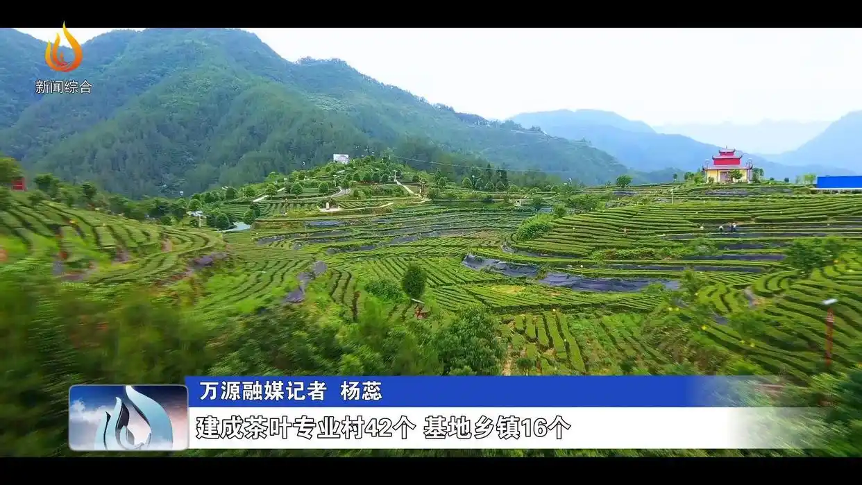 万源市电视台_万源市特色农业产业_万源市乡村旅游发展