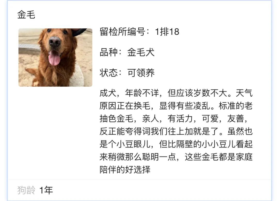 北京免费领养宠物狗_北京公安待领养犬只领养流程_北京公安局待领养犬只信息查询